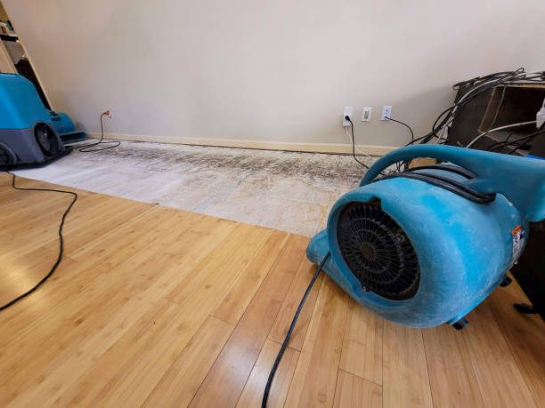 Professional Ceiling Water Damage Repair technician working in Pine Island, TX